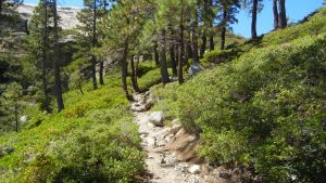 Donner Peak