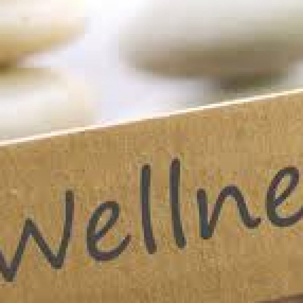 wellness-coaching