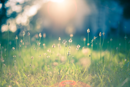 Mini Mindfulness Sessions